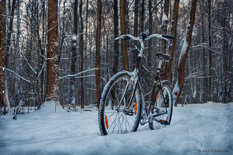 Как фотографировать снег. Фото Евгения Колкова