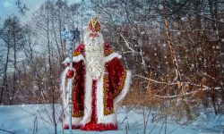 Дед Мороз. Фото: Евгений Колков