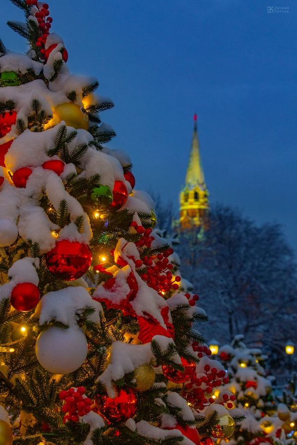 Новогодняя Москва. Фото: Евгений Колков