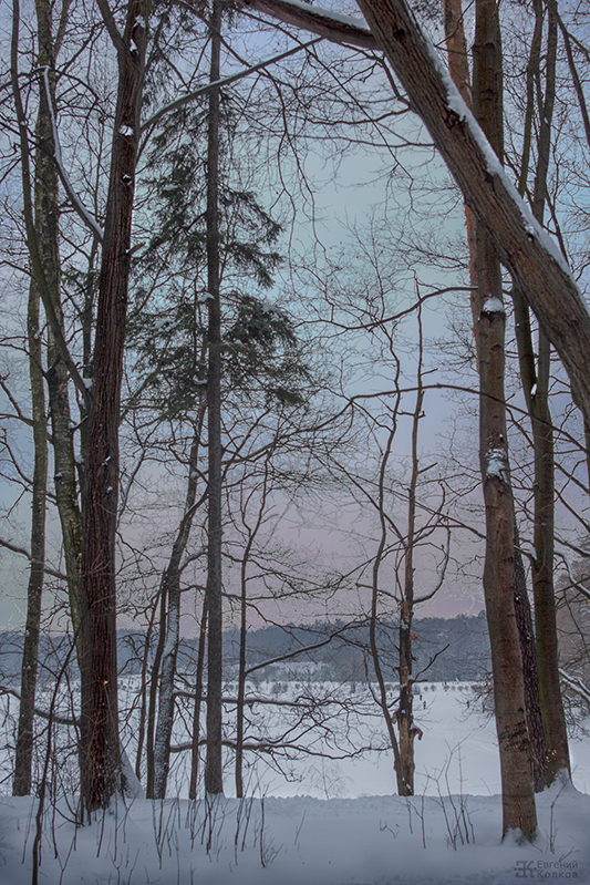 Фото: Евгений Колков Фото: Евгений Колков