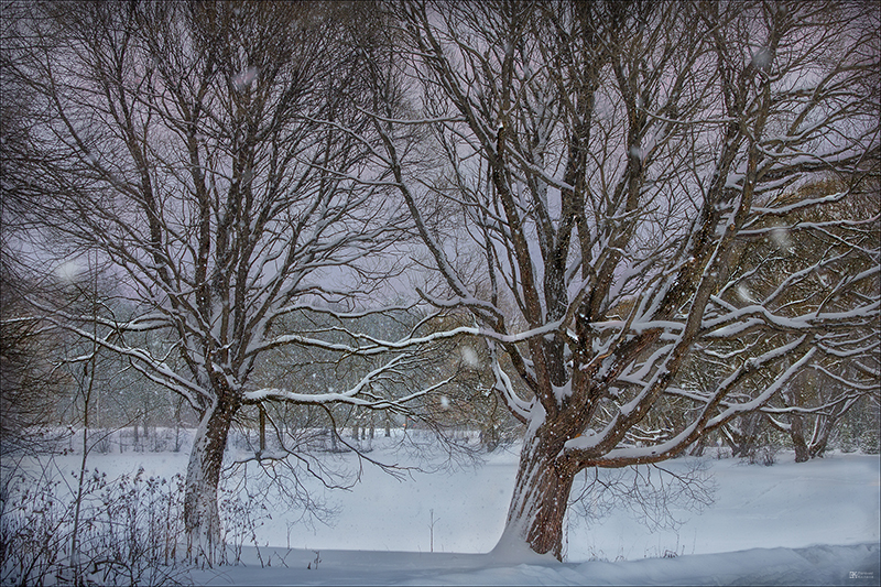 Зимний пейзаж. Фото: Евгений Колков Зимний пейзаж. Фото: Евгений Колков