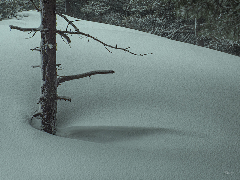 Зимний пейзаж. Фото: Евгений Колков Зимний пейзаж. Фото: Евгений Колков