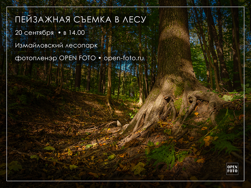 Пейзажная съемка в лесу. Фотопленэр OPEN FOTO