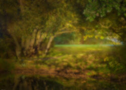 Фотоимпрессионизм. Фото: Евгений Колков