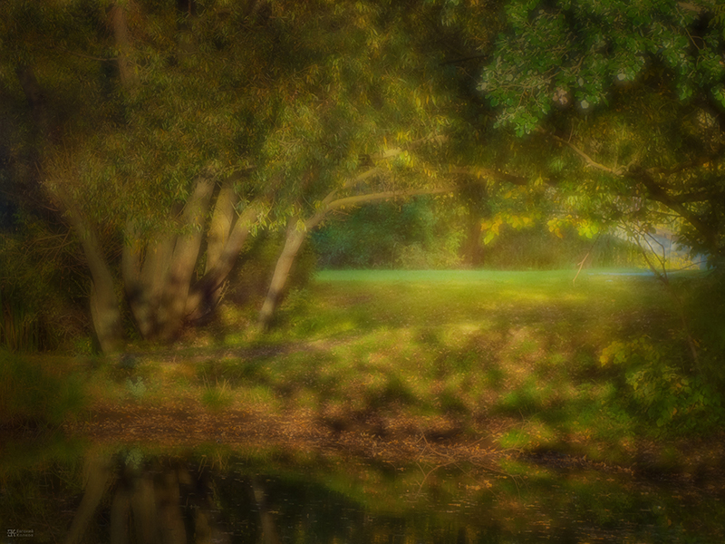 Фотоимпрессионизм. Фото: Евгений Колков