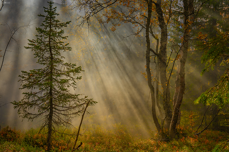 Фото: Евгений Колков Фото: Евгений Колков