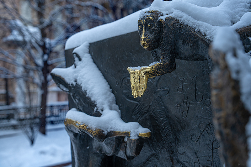 Фото: Евгений Колков