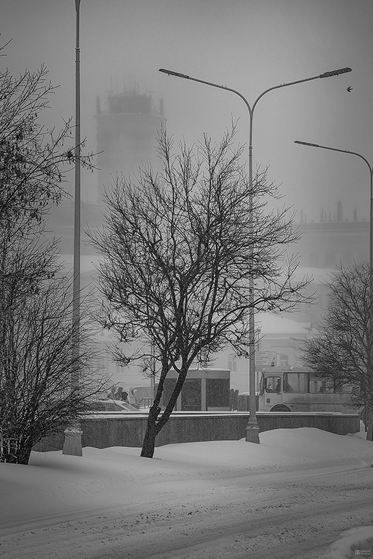 Фото: Евгений Колков