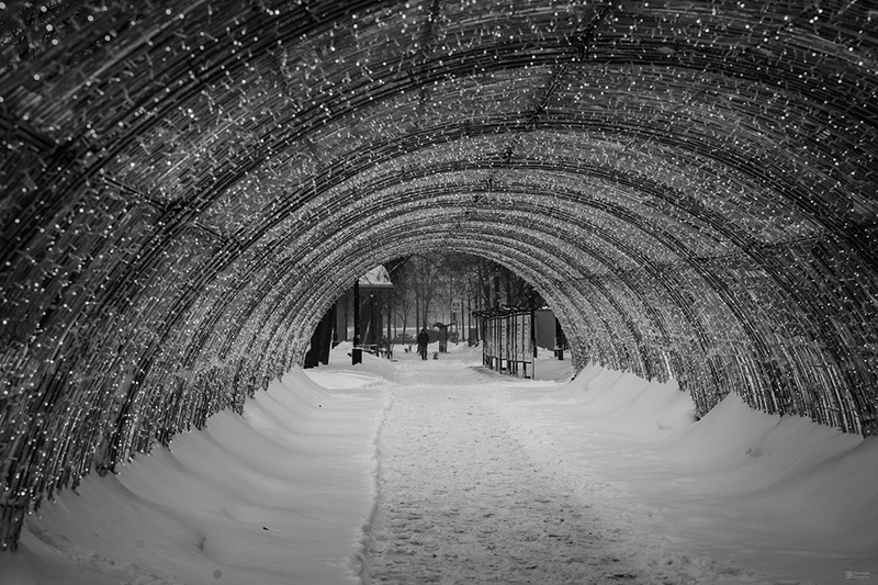 Фото: Евгений Колков