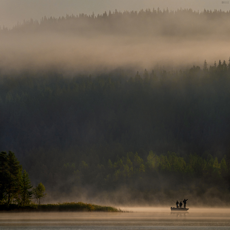 Фотоэкспедиции в Заполярье. Фото: Евгений Колков